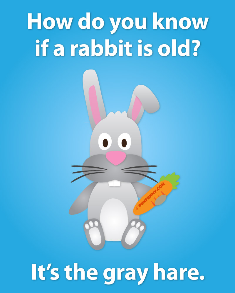 Illustration of rabbit pun